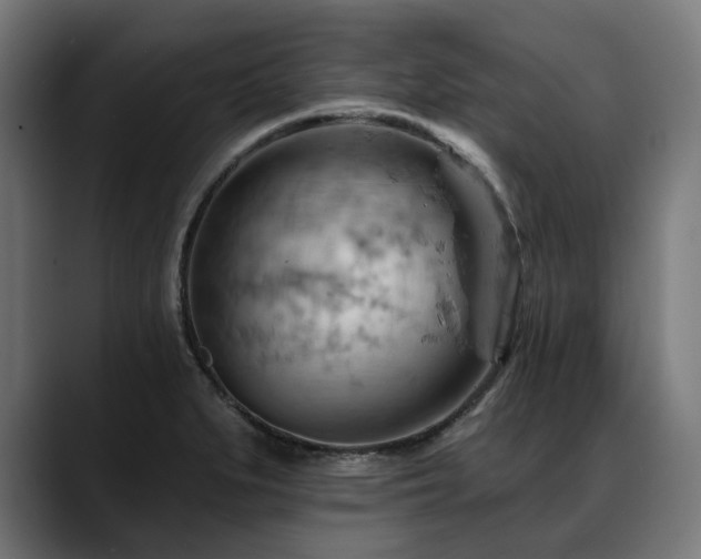 X0000088651279200705251454