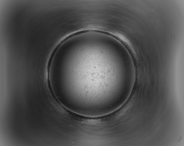 X0000088651280200705251454