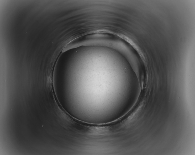 X0000088651281200705251454