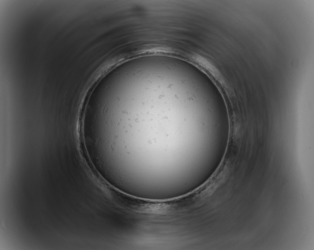 X0000088651282200705251454