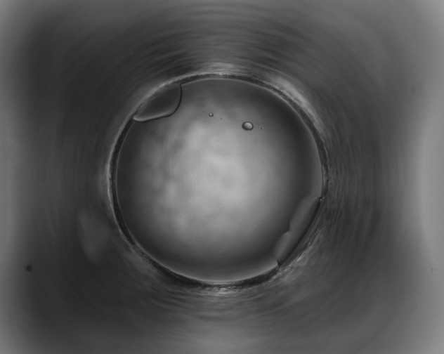 X0000088651283200705251454