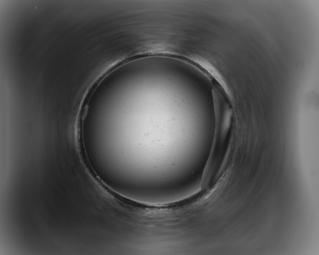 X0000088651285200705251454