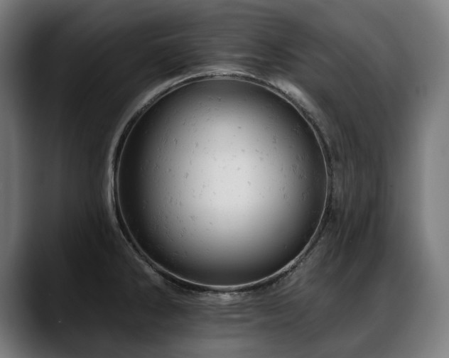 X0000088651286200705251454