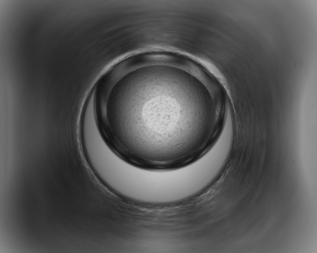 X0000088651287200705251454