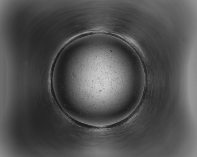 X0000088651288200705251454