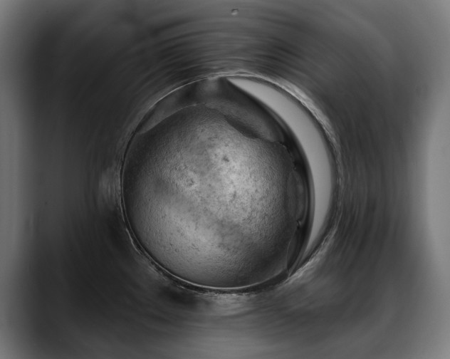X0000088651289200705251454