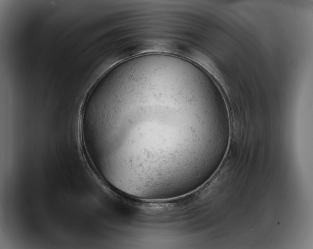 X0000088651290200705251454