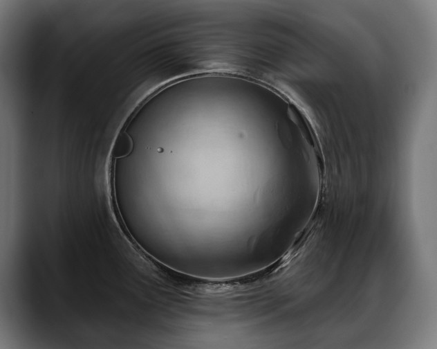 X0000088651291200705251454