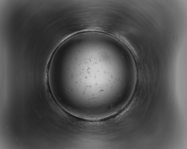 X0000088651292200705251454