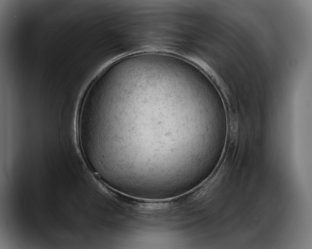 X0000088651294200705251454