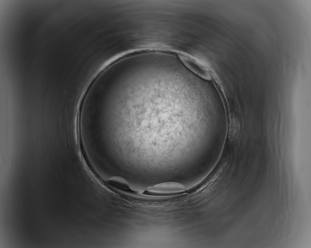 X0000088651295200705251454