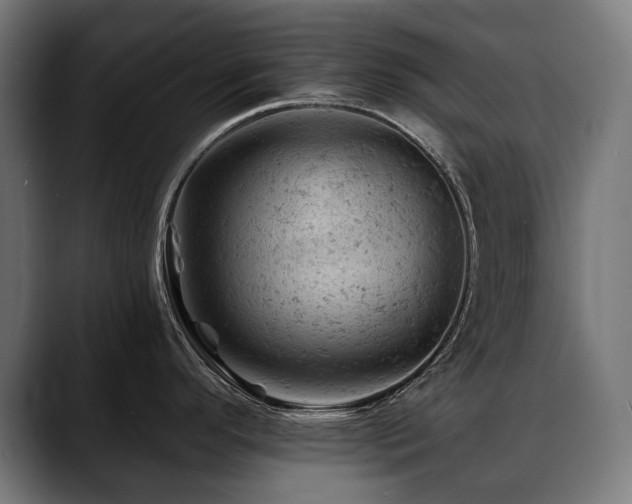 X0000088651296200705251454