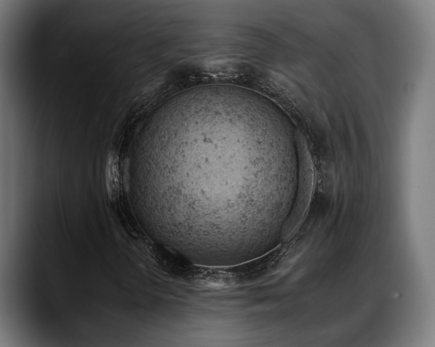 X0000088651298200705251453