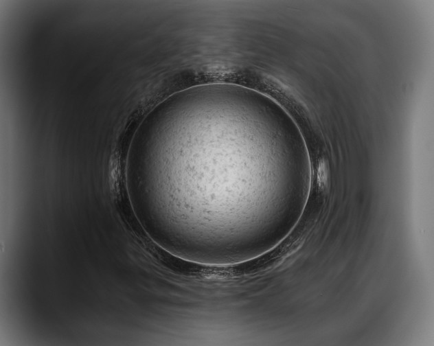 X0000088651299200705251453