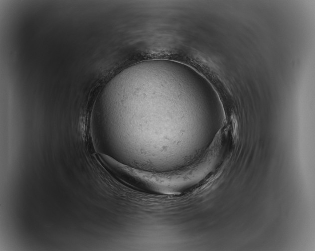 X0000088651300200705251453