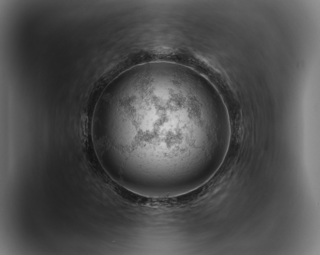 X0000088651301200705251453