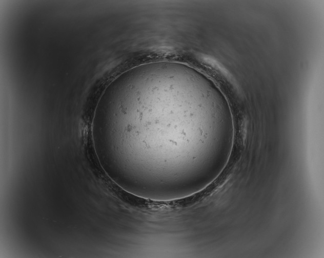 X0000088651302200705251453