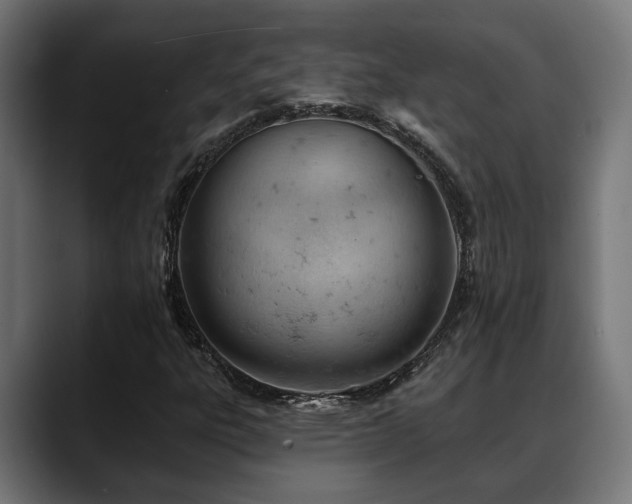 X0000088651303200705251453