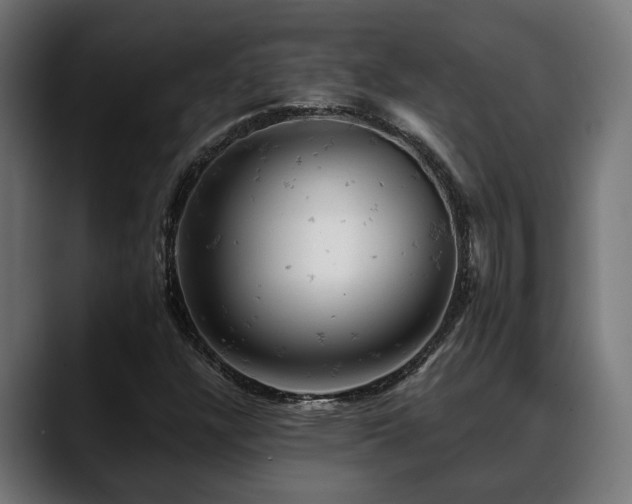 X0000088651304200705251453