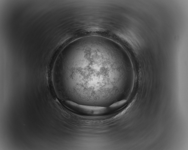 X0000088651305200705251453