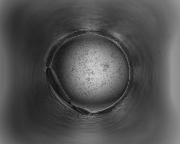 X0000088651307200705251453
