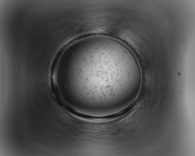 X0000088651308200705251453