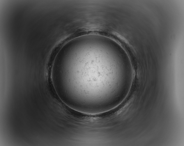 X0000088651309200705251453