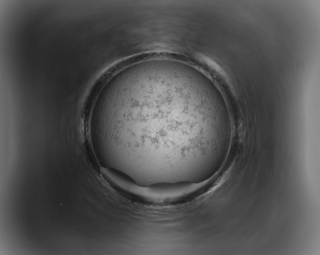 X0000088651310200705251453