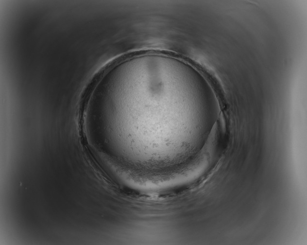 X0000088651312200705251453
