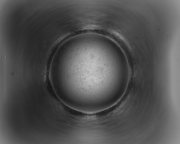 X0000088651313200705251453