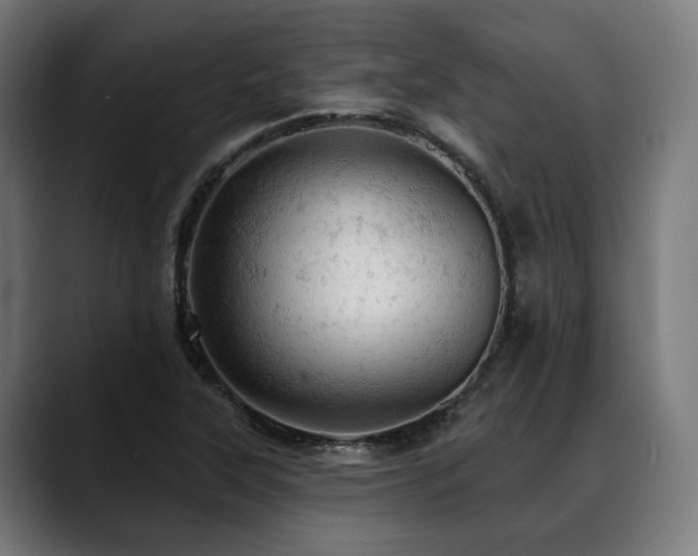 X0000088651315200705251453