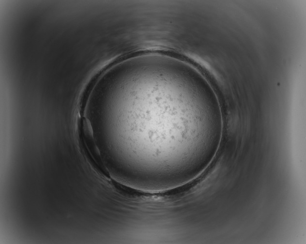 X0000088651317200705251453