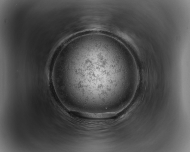 X0000088651318200705251453