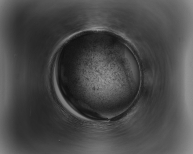 X0000088651319200705251453