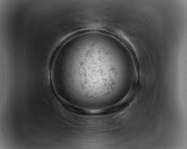X0000088651320200705251453