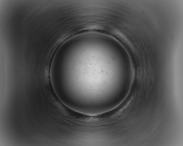 X0000088651321200705251453