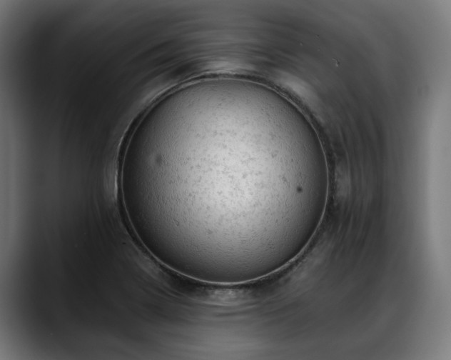 X0000088651322200705251453