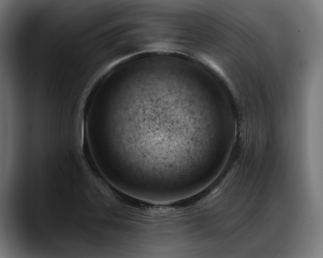 X0000088651323200705251453