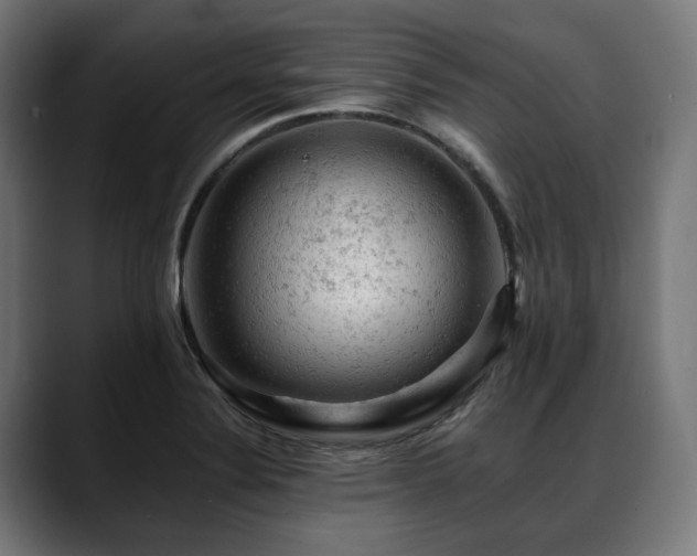 X0000088651324200705251453
