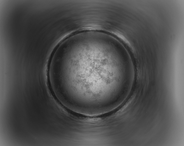 X0000088651325200705251453