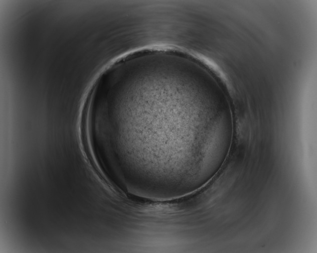 X0000088651327200705251453