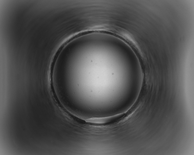 X0000088651328200705251453