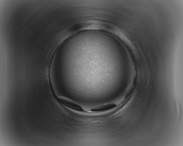 X0000088651329200705251453