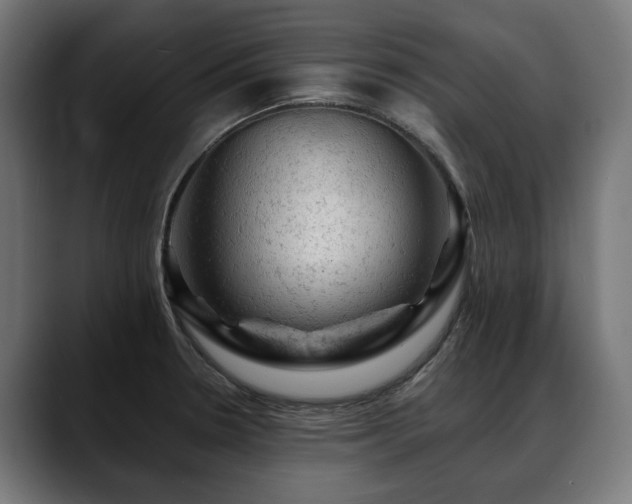 X0000088651330200705251453