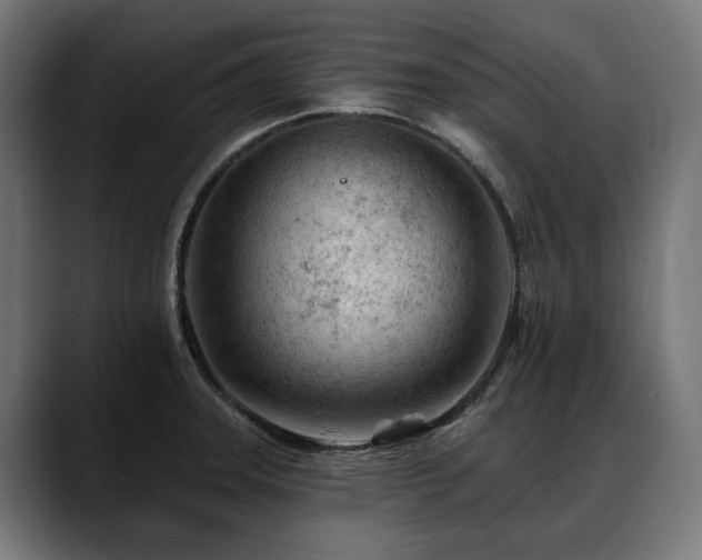 X0000088651331200705251453