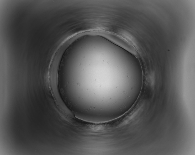 X0000088651332200705251453