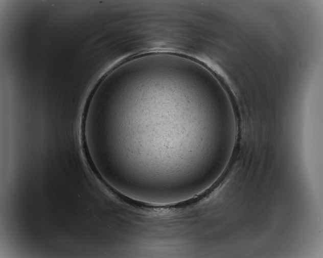 X0000088651333200705251454