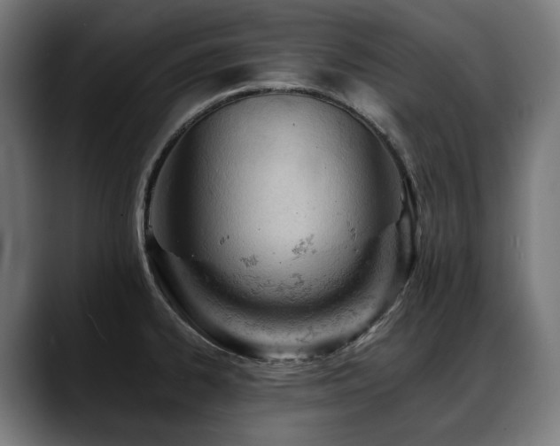 X0000088651334200705251454
