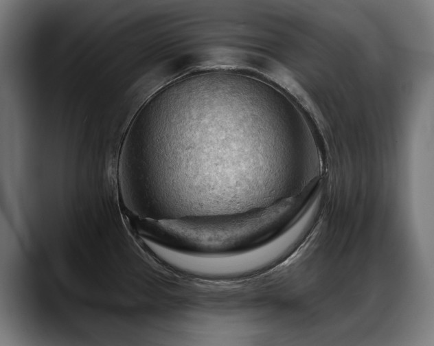 X0000088651337200705251454