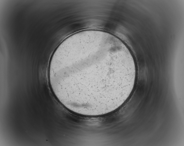 X0000088651338200705251454
